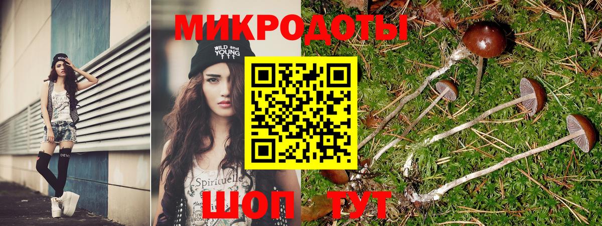 Псилоцибиновые грибы Cubensis Пушкино