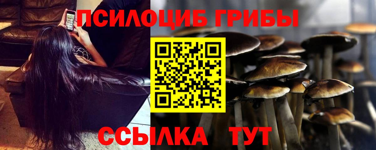 Пушкино  МАРИХУАНА  Alpha-PVP СОЛЬ кристаллы  Экстази  Метамфетамин  Мефедрон   Вход с VPN  Гашиш  Конопля  Кокаин  НБОМе 
